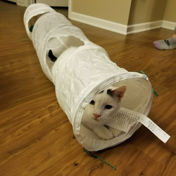 Welcome to my closet!! - Picture 3 of 3